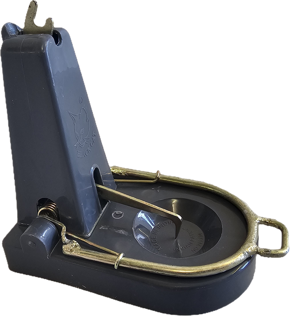 Black Cat 'Nano' Rat Trap