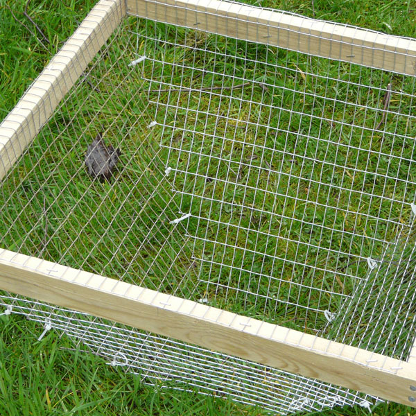 Fourteenacre Funnel Traps