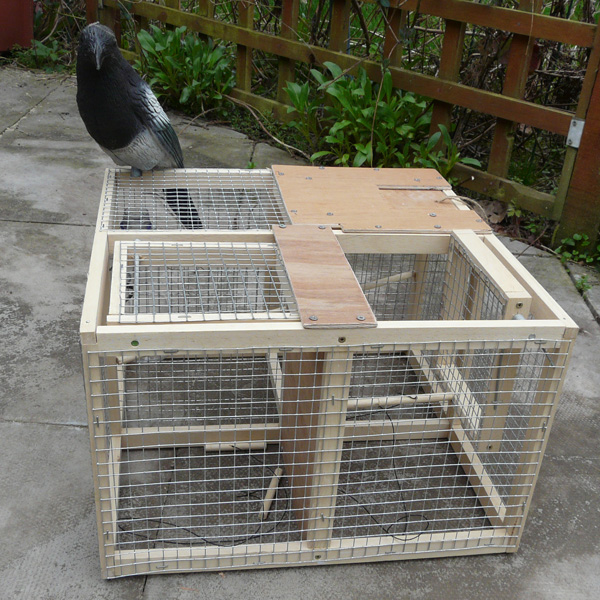 Fourteenacre Scale Model Larsen Trap