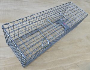 Squirrel Cage Trap