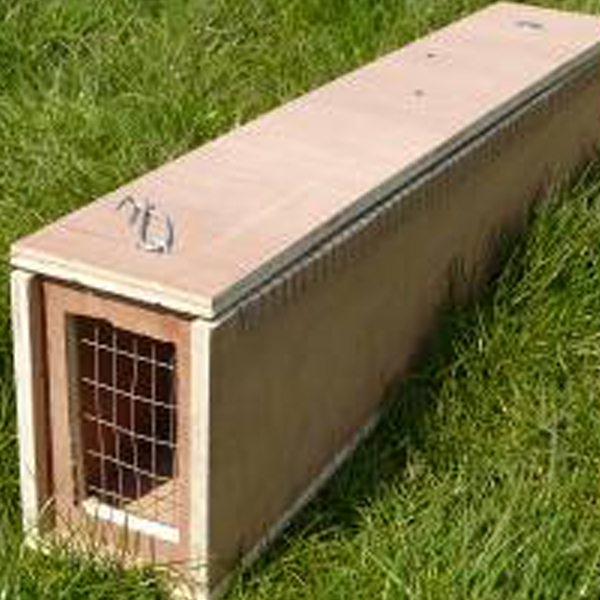 Fourteenacre Improved See Saw Trap fourteenacre-improved-see-saw-trap